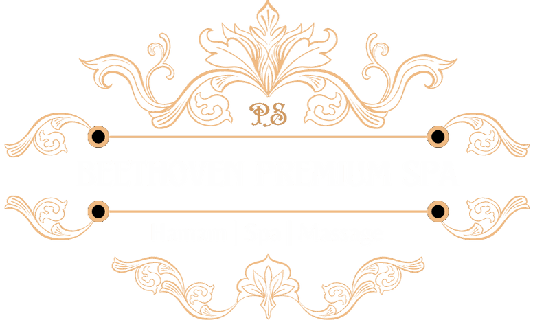 cropped beethoven prmeium spa logo.png