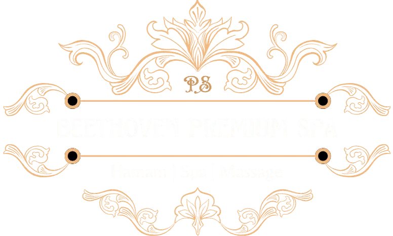 cropped beethoven prmeium spa logo.png